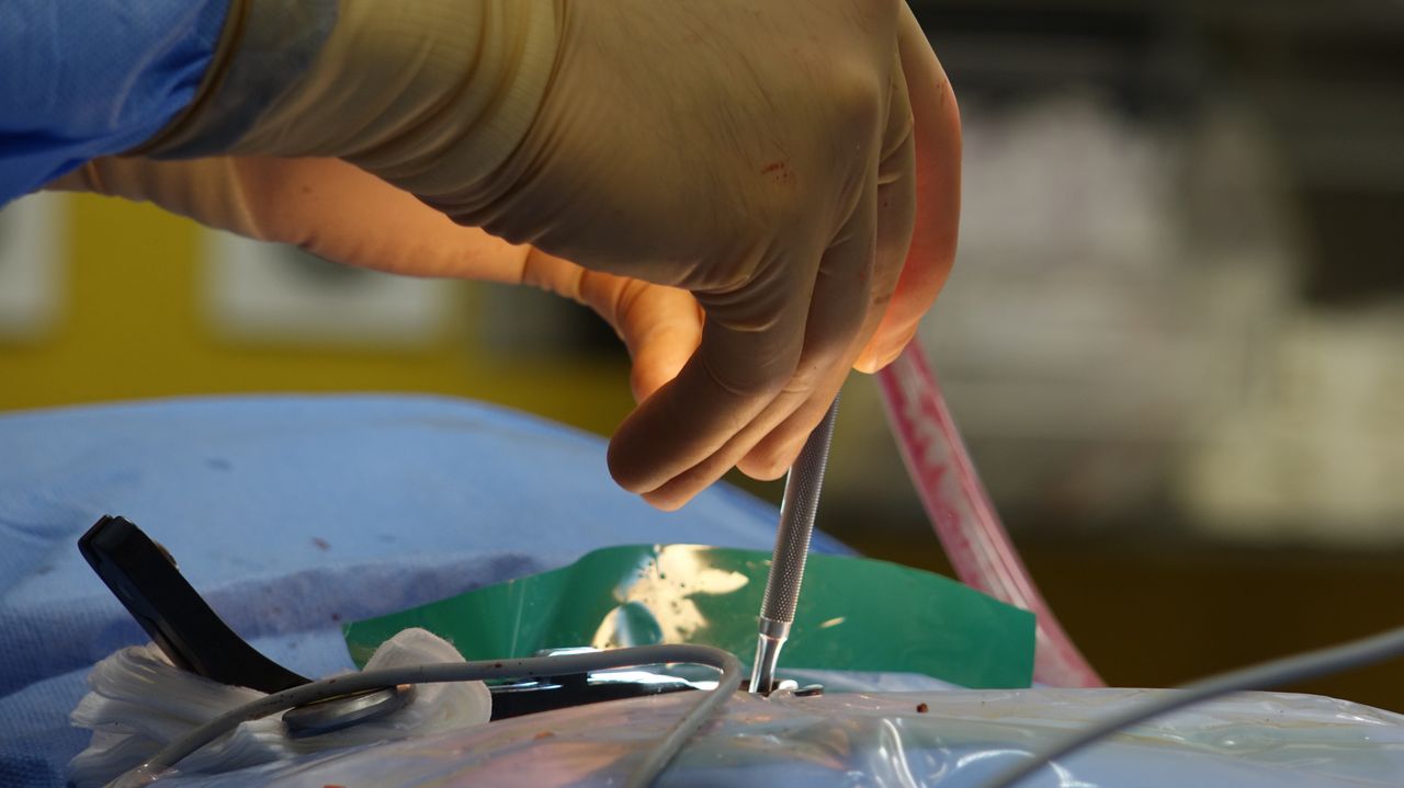 Home Detailed view of a surgical operation, highlighting precision medical tools in use.