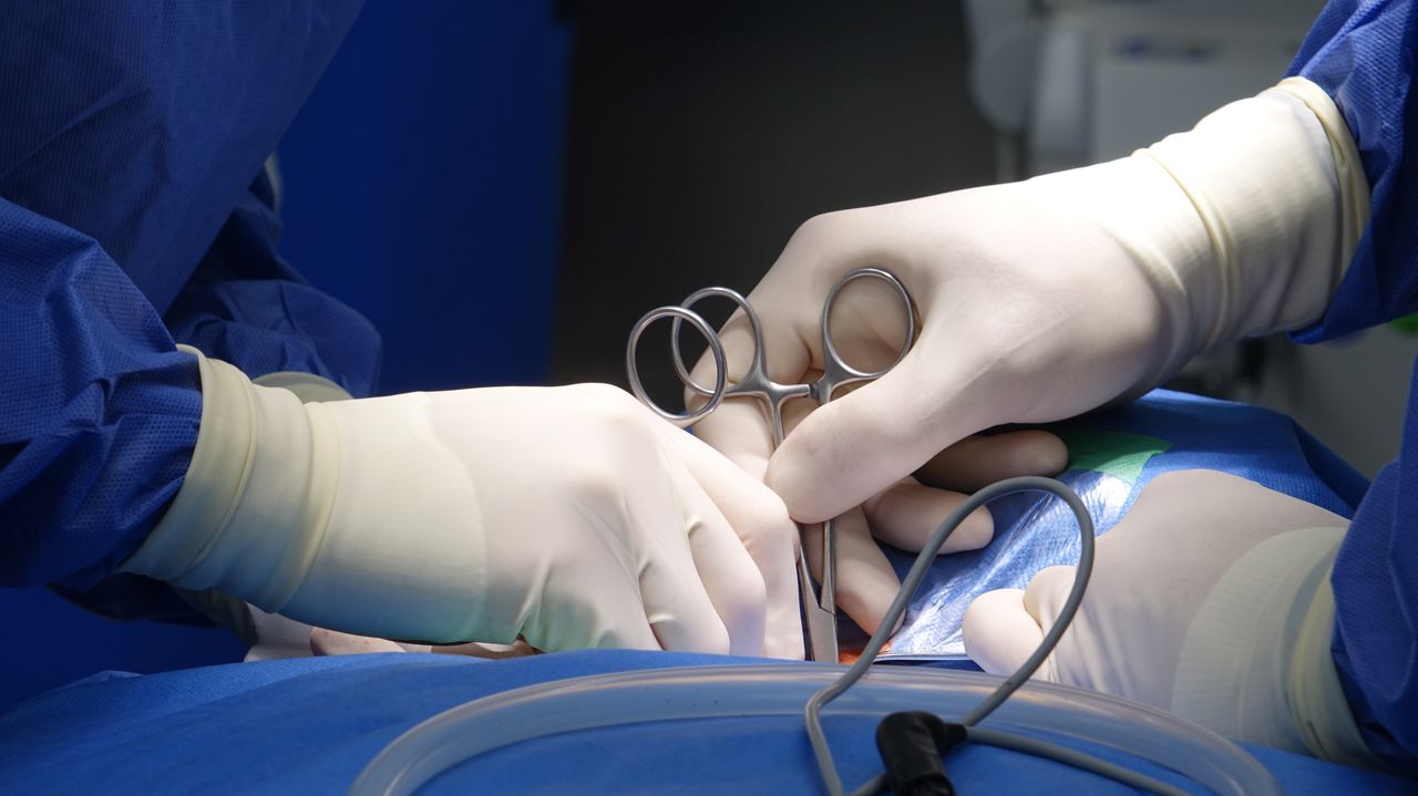 Home Close-up of surgeons' hands in surgical gloves performing an operation in a hospital operating room under sterile conditions.